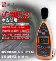 愛華礦用本安型噪聲檢測儀YSD130