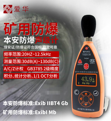 爱华矿用本安型噪声检测仪YSD130