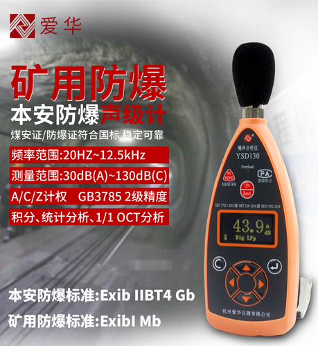 愛華礦用本安型噪聲檢測儀YSD130