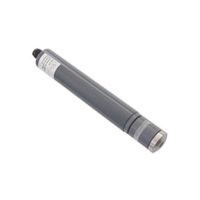 RG臭氧水電極DOZ7