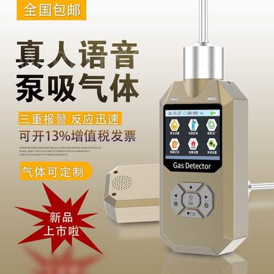 语音型氨气检测仪GT3300-NH3